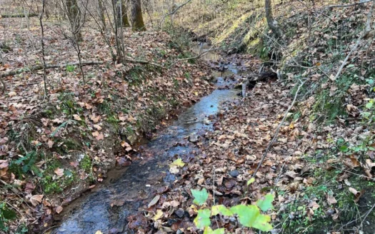 Recreational, Hunting Land for Sale in Tennessee.