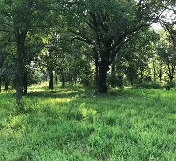 Land for Sale Near Lake Hudson Pryor, Oklahoma