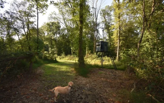 Southern in Hunting Land with Water for Sale Near Evansville