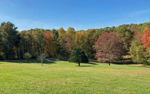 Land with Well & Septic for Sale in Pilot Va!