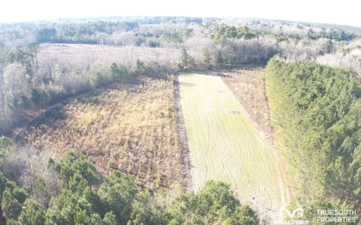 Hampton Hunting / Timber / Future Homesite Land