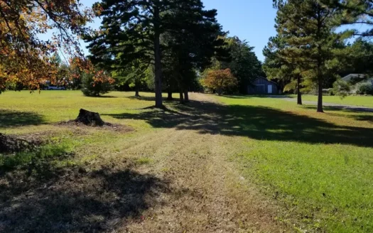 Great Property for Timber & Wildlife Returns