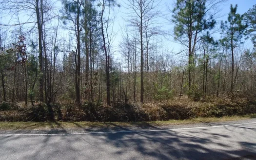 Building Lot in Prime Residential Area