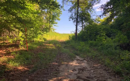 Land for Sale Near Moro Bay!!