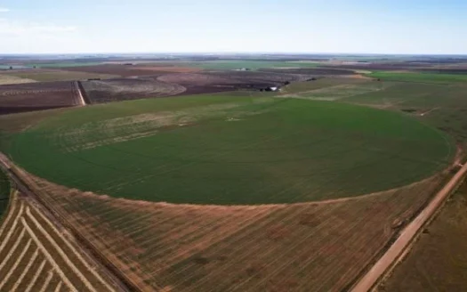 Texas Irrigated Farm for Sale Castro County