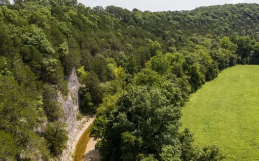 Big Spring and Creek Near Buffalo River in Arkansas