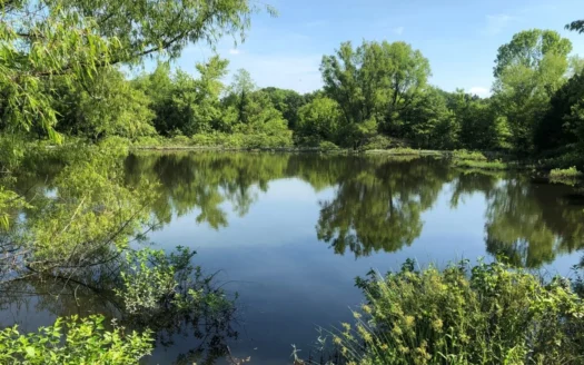 Land for Sale in Greenbrier, Arkansas