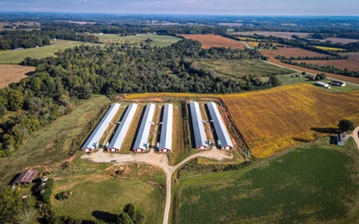 Poultry Farm for Sale in Lincolnton Nc
