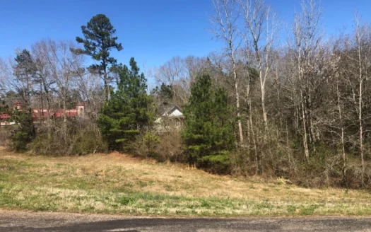 Cherokee County Commercial Land