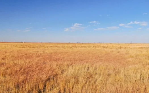 Conservation Reserve Tract W/ Paved Frontage in Lamb County
