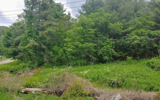 Lot for Sale in Bent Mountain Va