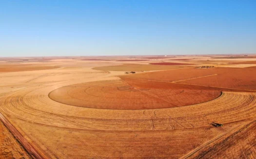 Irrigated Farm in Southeastern Parmer County Texas