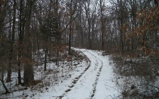 Missouri Land and Home for Sale – 78 Ac +/-, Kahoka, Mo