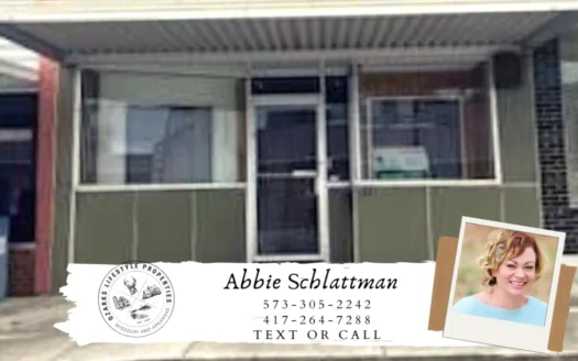 Residential in Town for Sale in Thayer, Mo