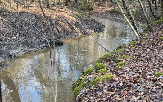 Hunting Property in Grant County Close to Little Rock, Ar