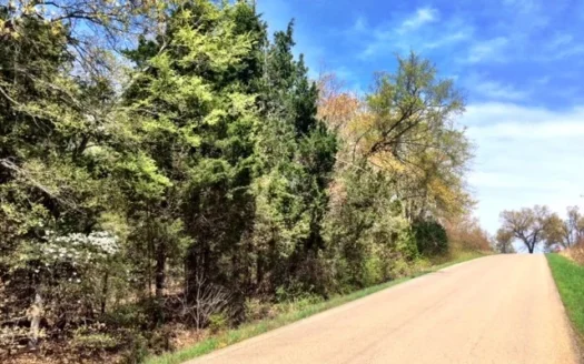Land for Sale in Pocahontas, Ar