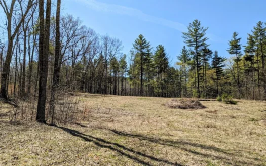 Building Land for Sale in Willis Va!