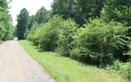 13+ Acres/ Great Home Site!