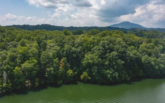 Lakefront Property for Sale in Pulaski Va!