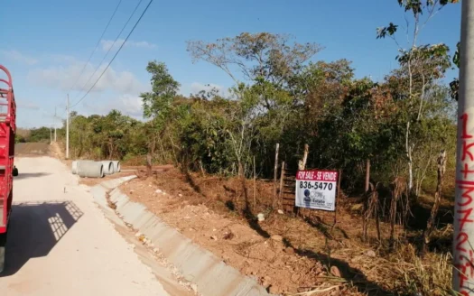 11.6 Hectares Land for Sale in Toabre Penonome Cocle Panama