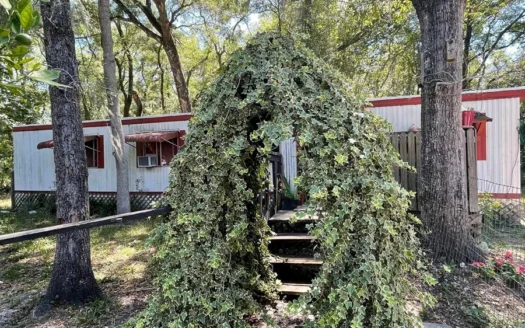 Investor Alert! Old Town Florida