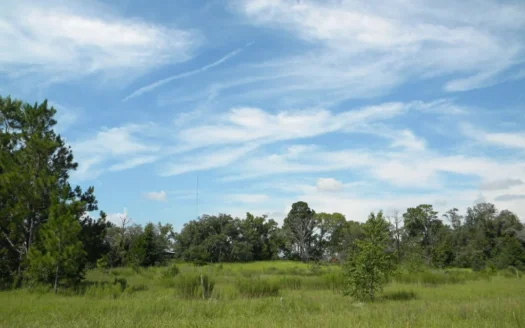 North Central Fl Homesite Acreage for Sale Archer Fl Levy Co