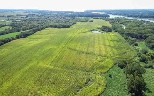 Investment Ag Land for Sale