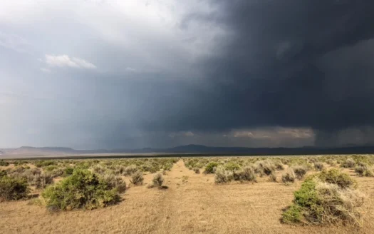 Nevada Ranch Farm Recreational Land for Sale Washoe County