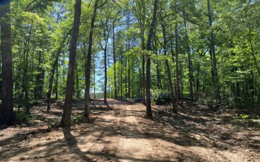 East Texas Land for Sale