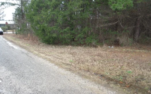 Land for Sale in Savannah Tn to Build a Home On, Vacant Land