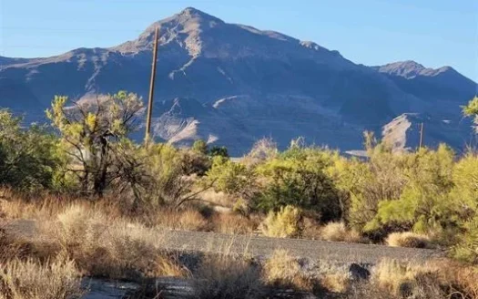 Nevada Residential Buildable Land Lot for Sale in Pahrump Nv