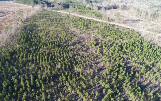 Land for Sale Near Huttig!!