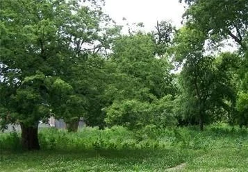 1 Acre Lot Inside the City Limits Of Winona