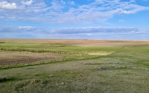 Stagecoach Road Organic Wheat Farm with Lease Back Potential