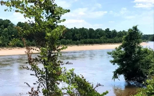 510 Acres Leaf Riverfront Hunting Timberland for Sale Ms