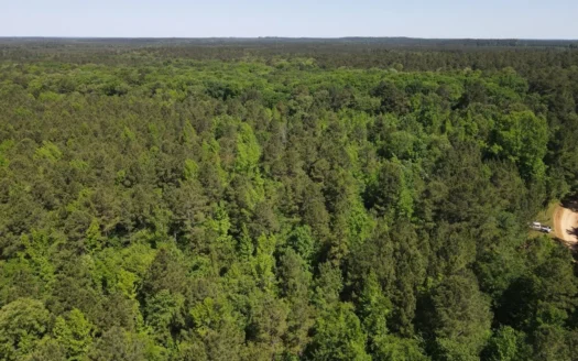 Hunting Land for Sale in Dallas County Arkansas