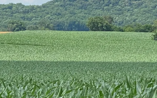 Productive Crop Land for Sale in Simpson County, Ky.