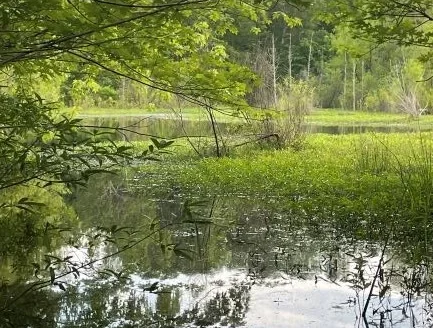Duck and Deer Hunting Land Southeast Oklahoma