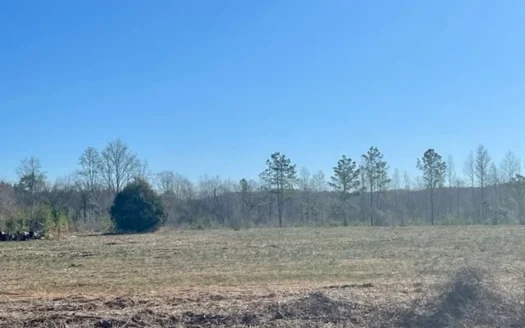 Home Lots in Crenshaw County