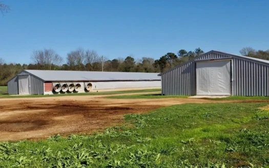2 Breeder House Poultry Farm for Sale South Mississippi