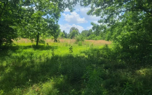 Land for Sale West Carroll Parish