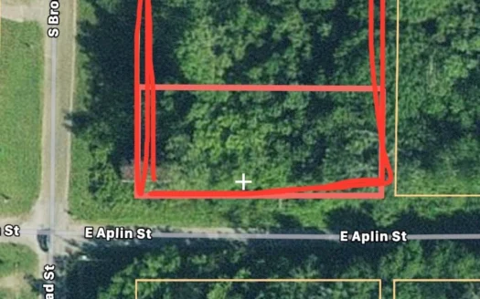 2 Lots for Sale in Town Samson Al – Homesite or Mobile Home