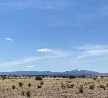 Torrance County 75.14 Acres with Manzano Mountain Views