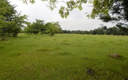 Small Acreage for Sale Bogata Texas Red River County