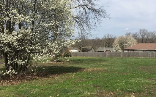 Buildable Lot for Sale in Berryville, Ar Subdivision