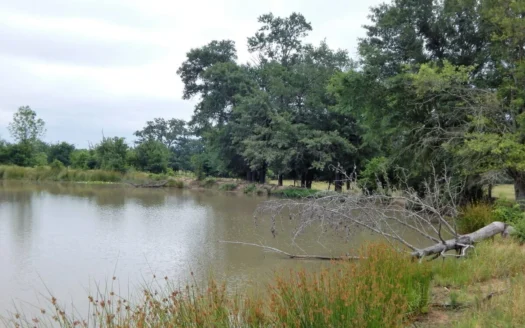 5 Acre Lot for Sale Bogata Texas Red River County