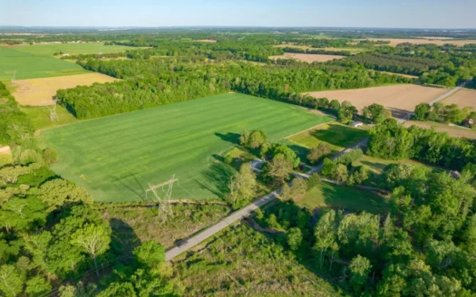 53.648 Acres Tanner, Al Lucas Ferry Rd/brownsferry Rd