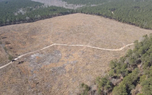 Timber Investment Property Nevada County Arkansas