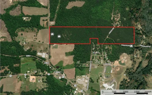 East Texas Timberland