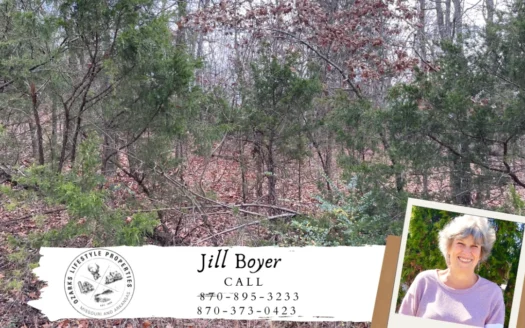 Vacant Land for Sale Near Crown Lake